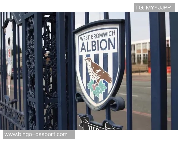 选择优质足球的标准与推荐品牌解析